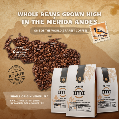 IMI Gourmet Whole Bean Coffee 3-Pack — Venezuelan Medium Roast, 3 x 12 oz